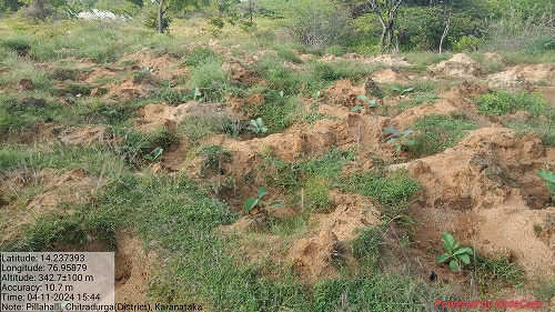 Impact Project Image